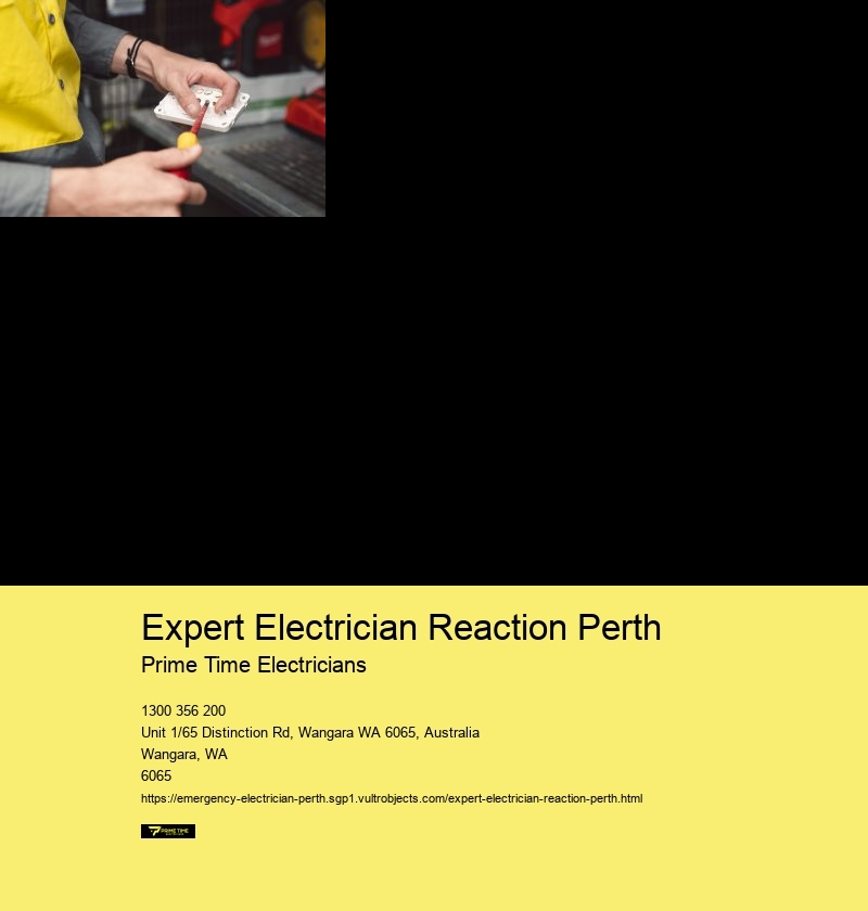 Expert Electrician Reaction Perth